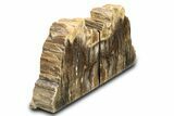 Polished Petrified Wood Bookends - Washington #307181-1